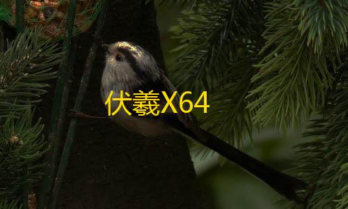 暗区突围直装参数伏羲X64