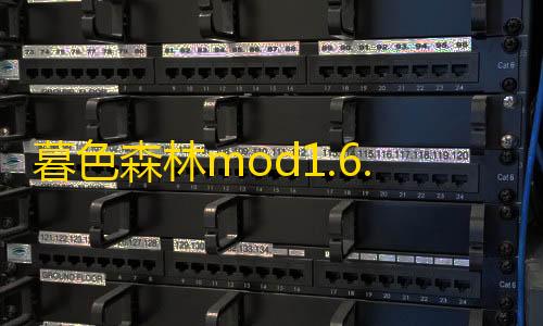 三角洲免费寻血猎犬挂暮色森林mod1.6.4