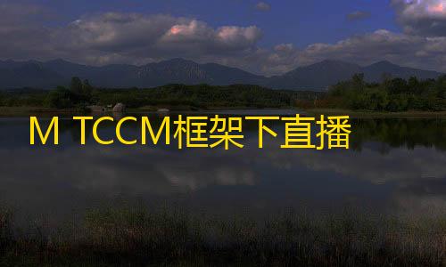 暗区突围透视工具M TCCM框架下直播电商研究的知识体系与将来趋势展望